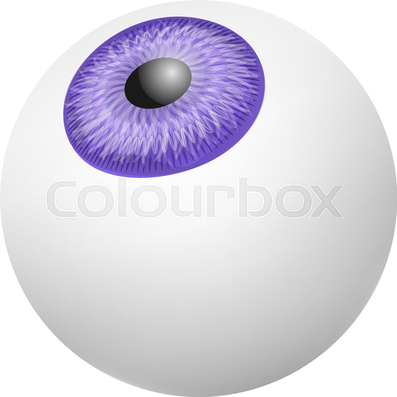 800x800 Up Vision Eyeball Mockup Realistic Stock Vector Colourbox