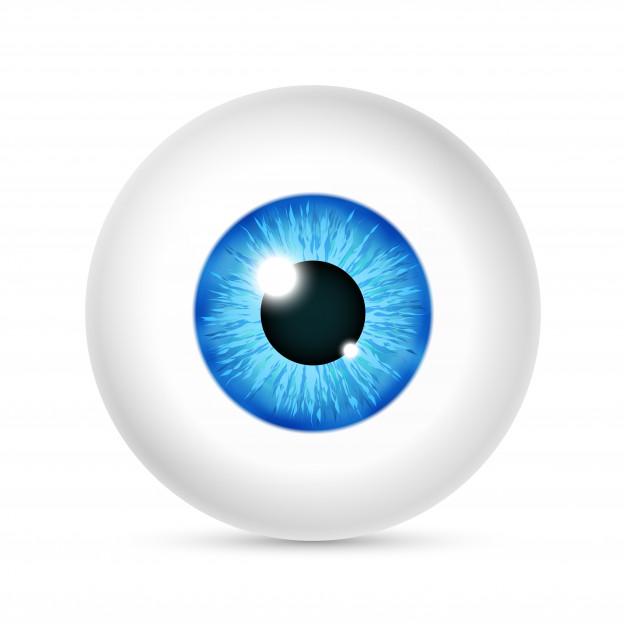 626x626 Vector Realistic Human Eyeball Vector Premium Download