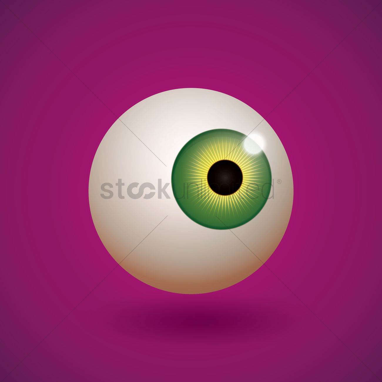 1300x1300 Eyeball Vector Image