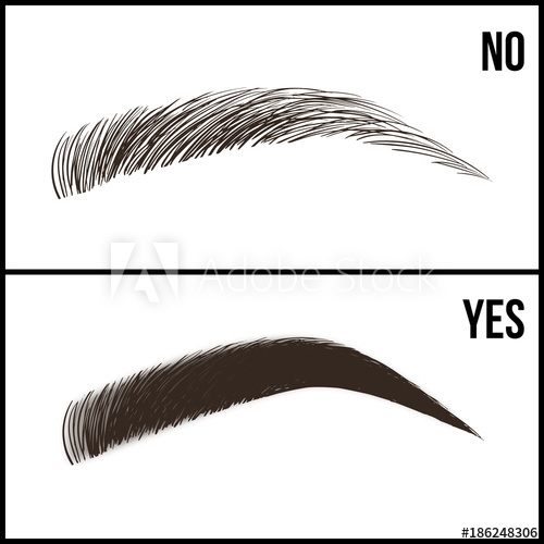 500x500 Eyebrows Design Set Of Well Groomed And Shaggy Eyebrows No