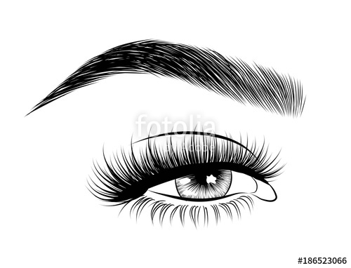 500x382 Hand Drawn Woman's Fresh Luxurious Eye With Perfectly Shaped