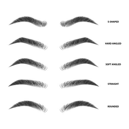 Eyebrow Vector at Vectorified.com | Collection of Eyebrow Vector free ...