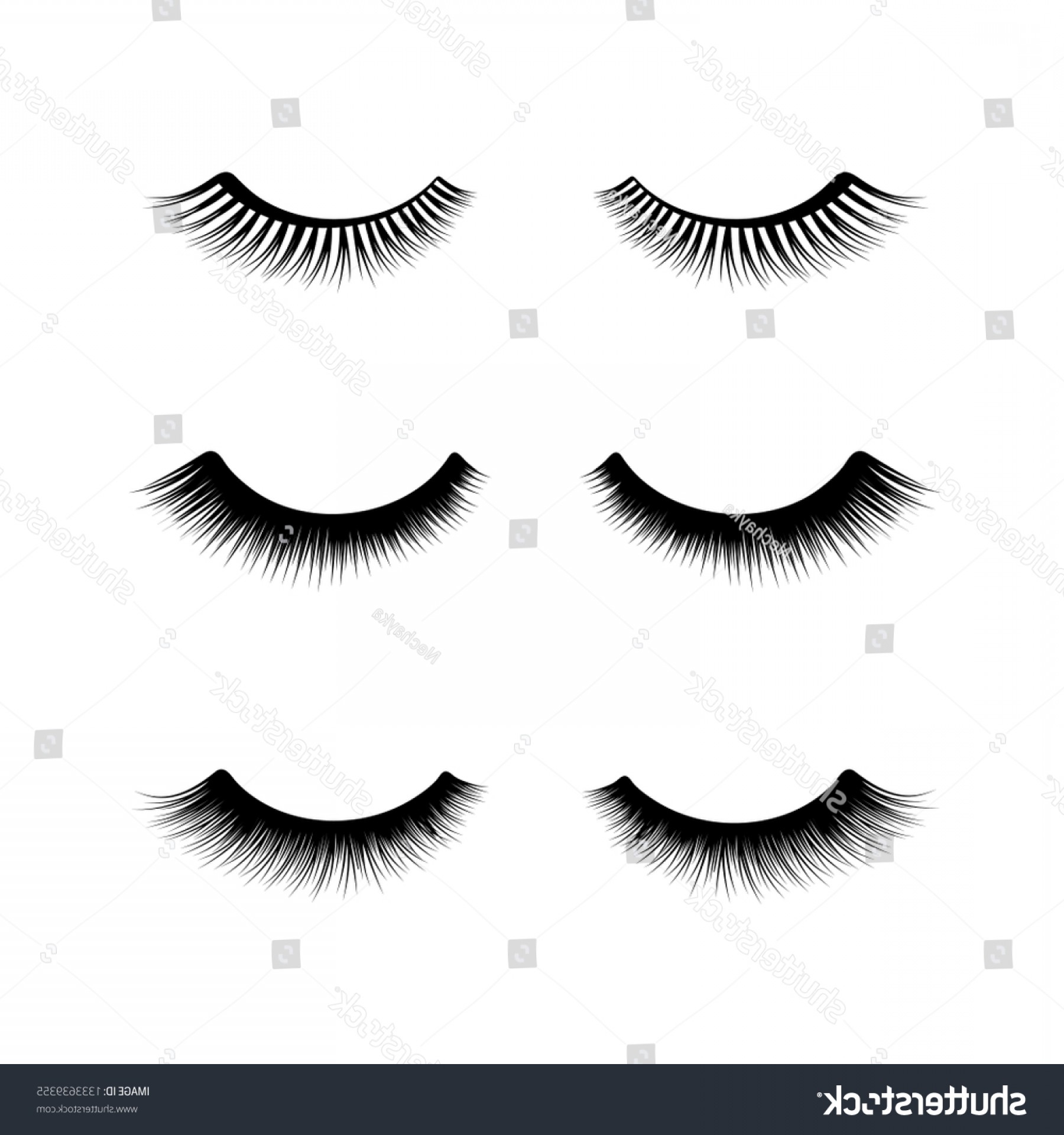 Eyelash Vector Real Catchsplace 1800x1920 Eyelash Vector Real Catchsplace