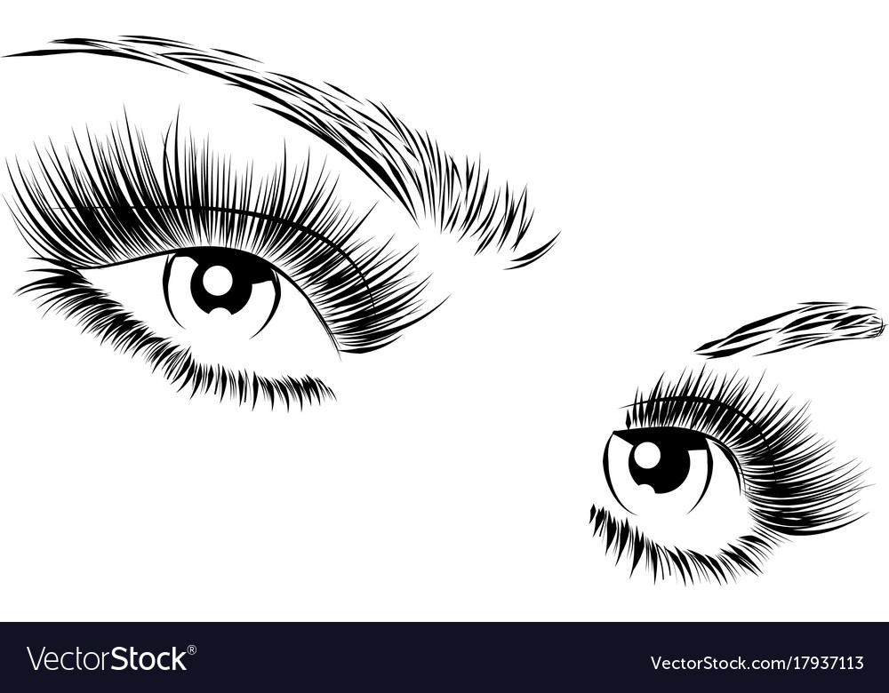 Eyelashes Drawing Png Vector Photoshop Easy Ideas Eyes Reference 1000x780 Eyelashes Drawing Png Vector Photoshop Easy Ideas Eyes Reference