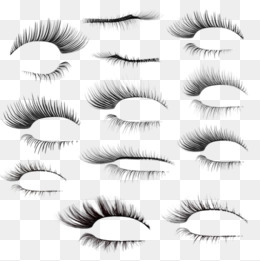 Eyelash Clipart Fake Eyelashes Png For Free Download And Use 260x261 Eyelash Clipart Fake Eyelashes Png For Free Download And Use