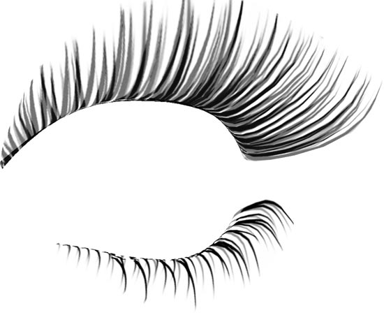 Eyelash Photoshop Template Designs 550x451 Eyelash Photoshop Template Designs
