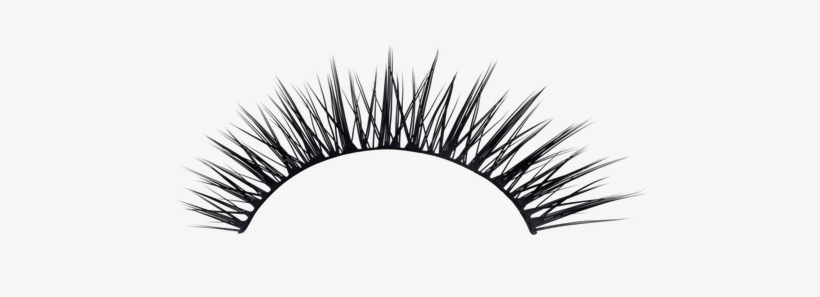 Brush Vector Lash 820x297 Brush Vector Lash