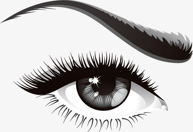 Eye, Eyeball, Eyelash Png And Vector With Transparent Background 650x446 Eye, Eyeball, Eyelash Png And Vector With Transparent Background