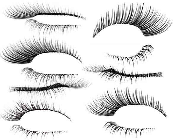 Eyelashes Vector Free At Vectorified.com | Collection Of Eyelashes ...