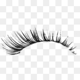 260x260 Eyelash Png Free Eyelash Transparent Images