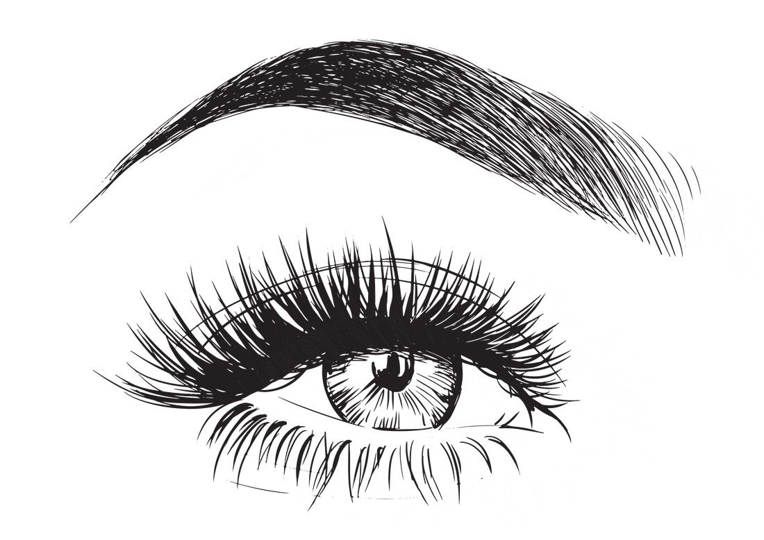 Download Eyelashes Vector Free at Vectorified.com | Collection of Eyelashes Vector Free free for personal use