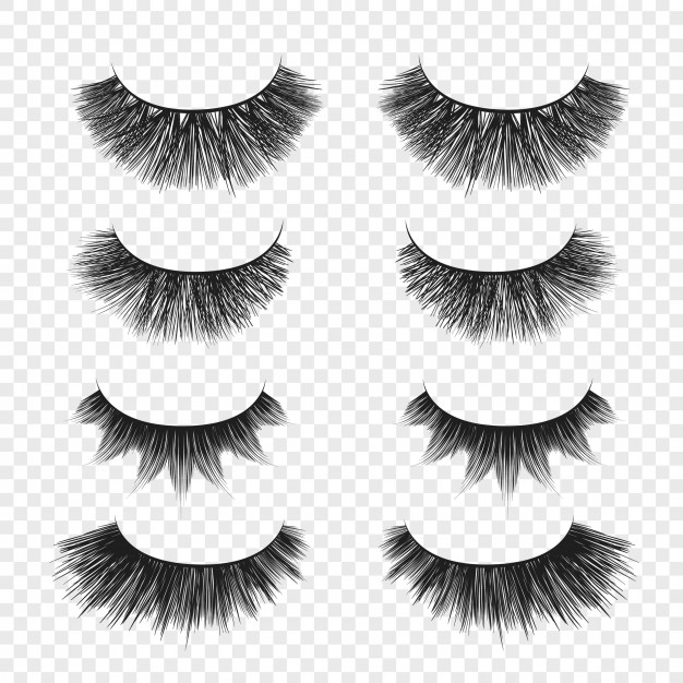 Eyelashes Vector Free At Vectorified.com | Collection Of Eyelashes ...