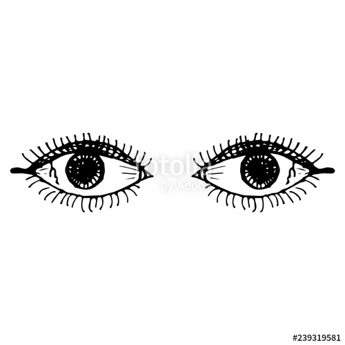 500x500 Sketch Of The Eyes With Eyelashes Vector Illustration Stock