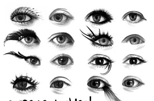 500x330 Sets Of Free Eye Brushes For Photoshop
