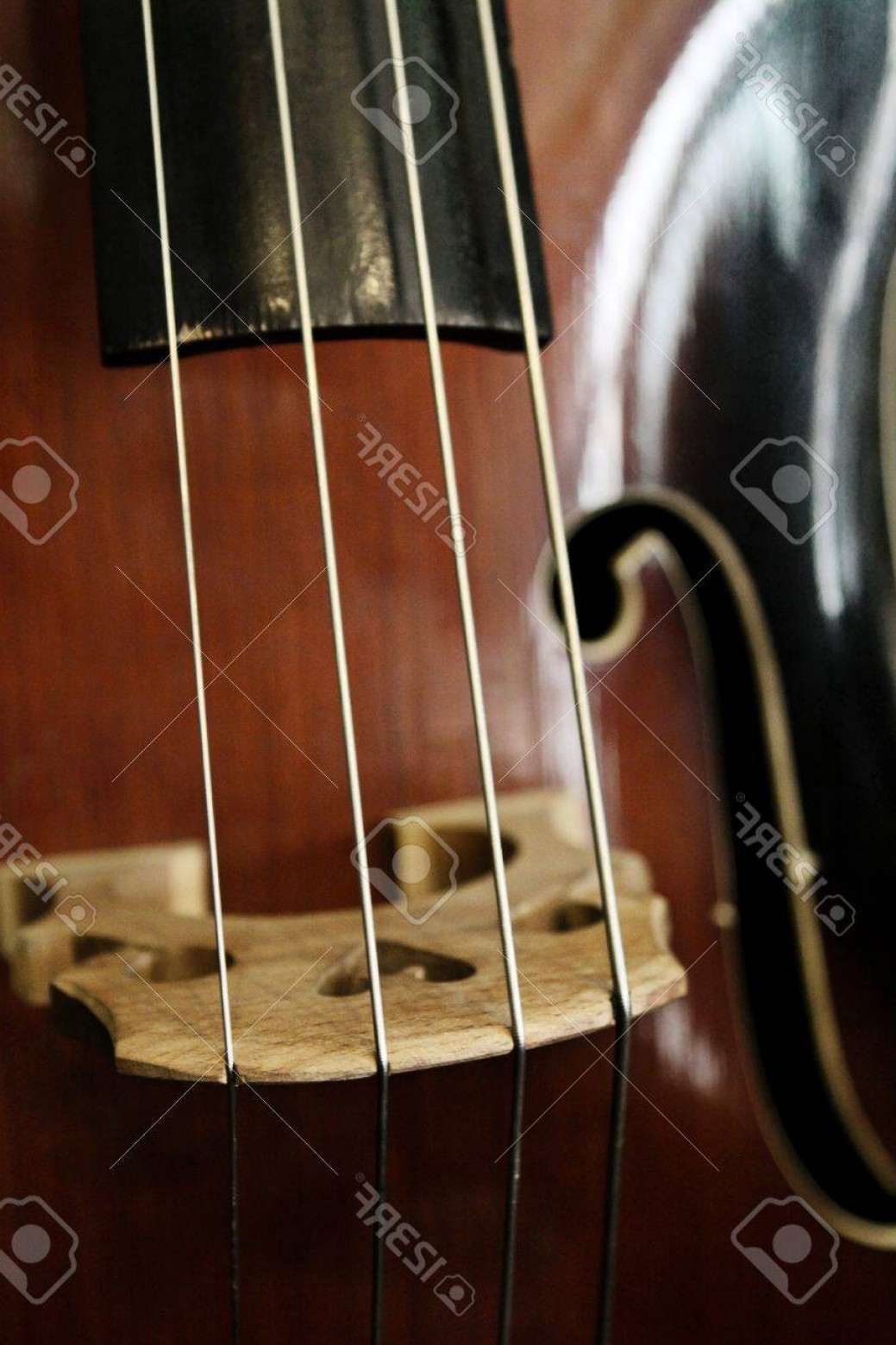 1039x1560 Photocello Close Up Bridge Strings And F Hole Geekchicpro
