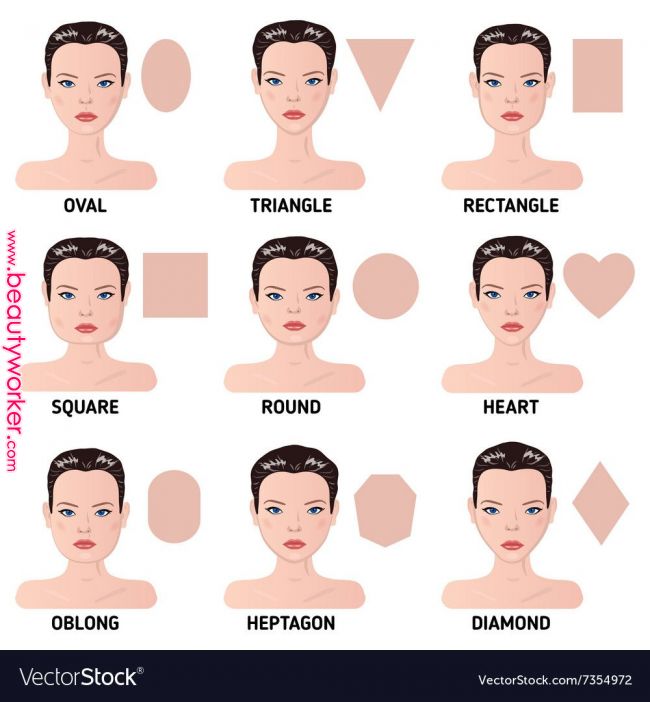 Face Shape Vector at Vectorified.com | Collection of Face Shape Vector ...