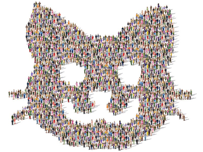 800x600 Large Group Of People All Together In A Cat Face Shape