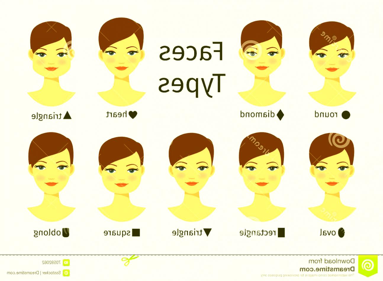 1294x951 Short Hairstyles For Round Faces And Thick Hair Female Face Shapes