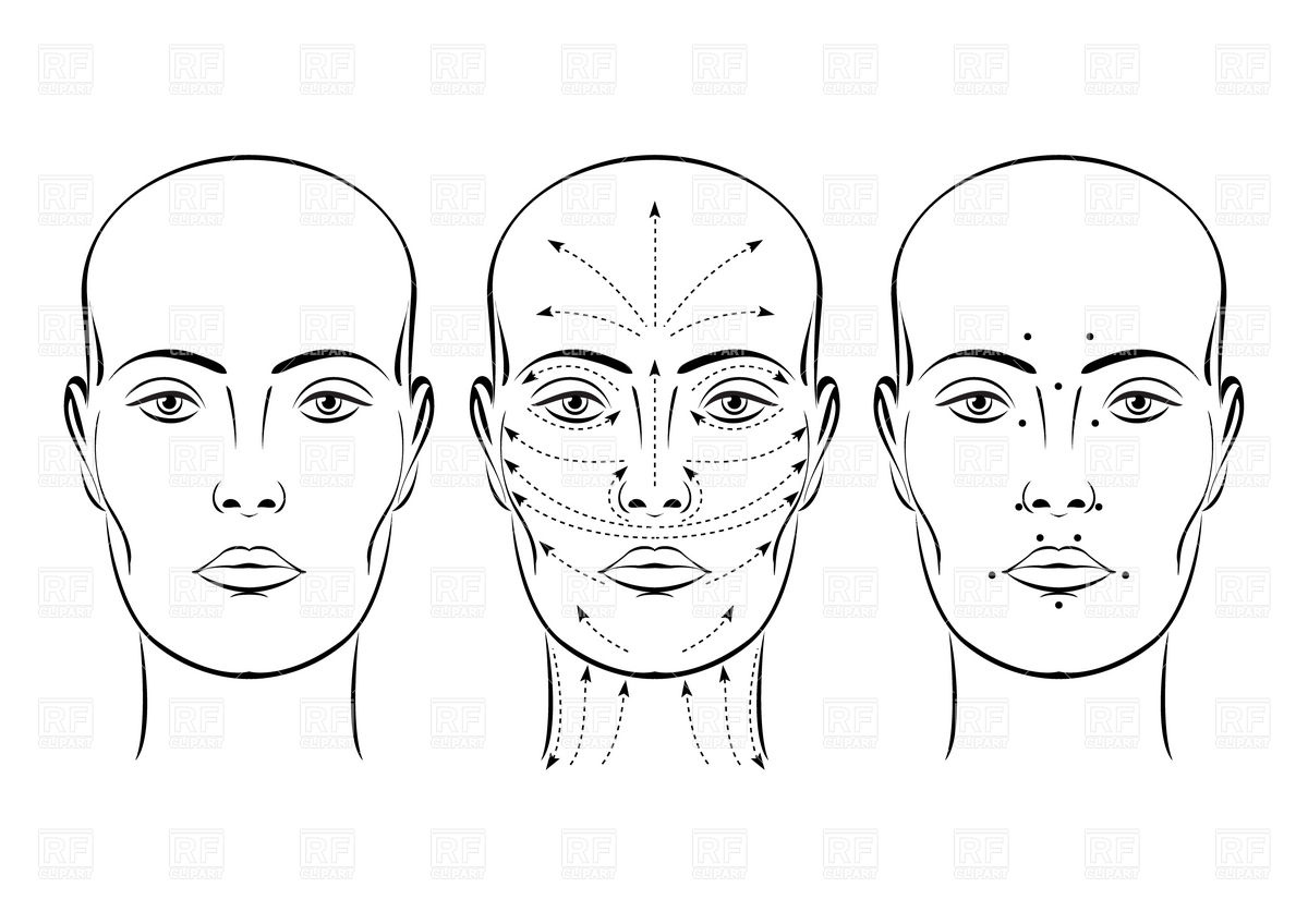 1200x848 Woman's Face With Direction Arrows For Facial Massage Vector Image