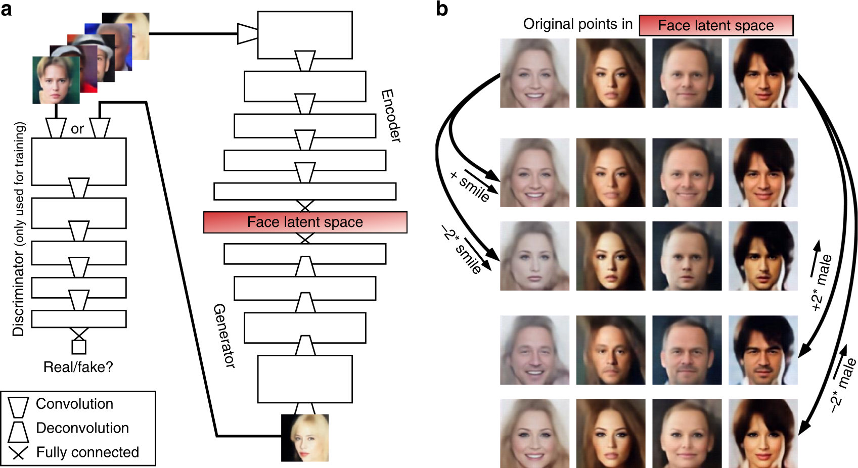 1697x926 Reconstructing Faces From Fmri Patterns Using Deep Generative