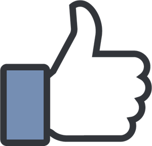 300x289 Facebook Like Logo Vector