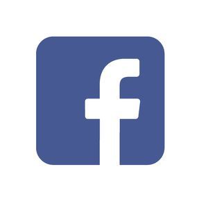 290x290 Facebook Icon Vector Turtels Facebook Icon Vector, Facebook