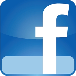 300x299 Facebook Logo Vector