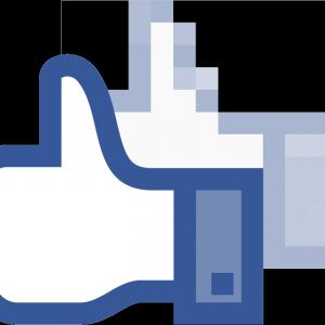 300x300 Stock Illustration Pixel Facebook Logo Icon Studiogrfx