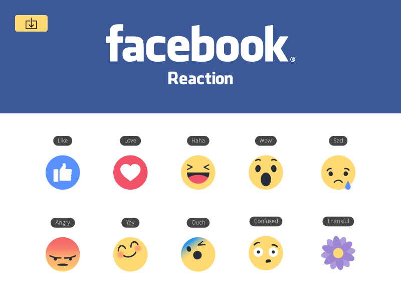800x600 Facebook Reactions Vector