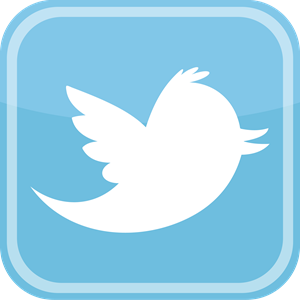 300x300 Twitter Logo Vectors Free Download