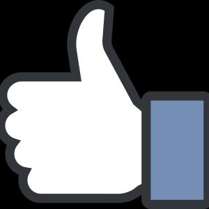 300x300 Facebook Like Logo Vector Cultracing