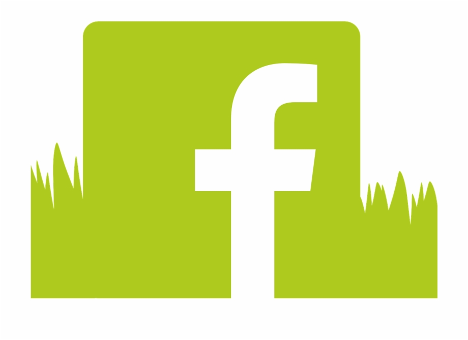 920x669 Vector Graphics,free Pictures, Free