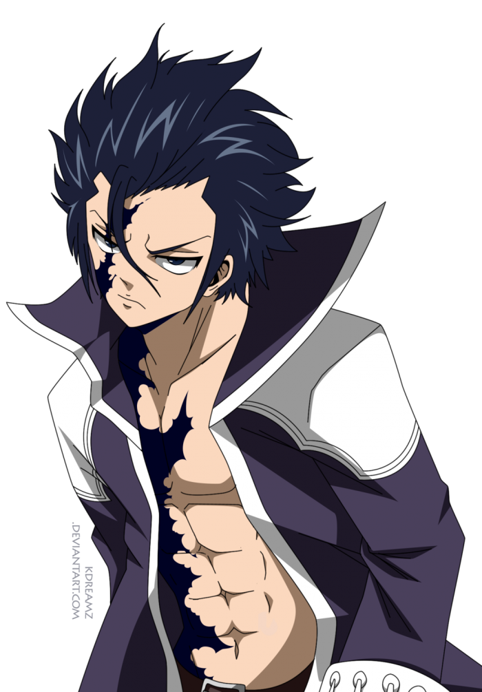 700x1005 Gray Fairy Tail Png Vector, Clipart