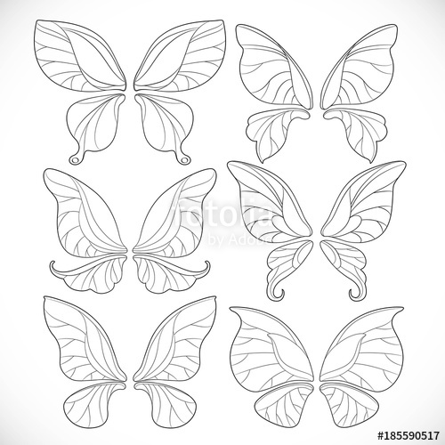 Fairy Wings Different Form Outlines Set Isolated On A White 500x500 Fairy Wings Different Form Outlines Set Isolated On A White