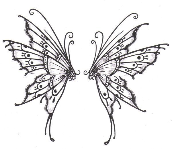 Illustrations Of Fairy Wings 600x522 Illustrations Of Fairy Wings