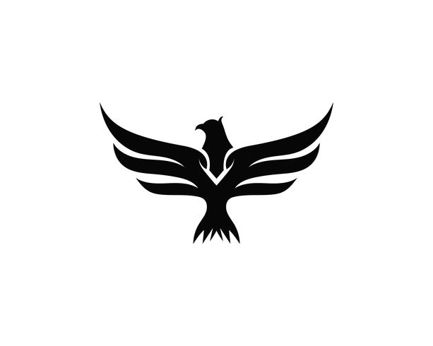 613x490 Wing Falcon Bird Logo Vector