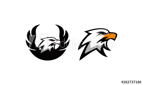 500x300 Strong Falcon Logo Vector