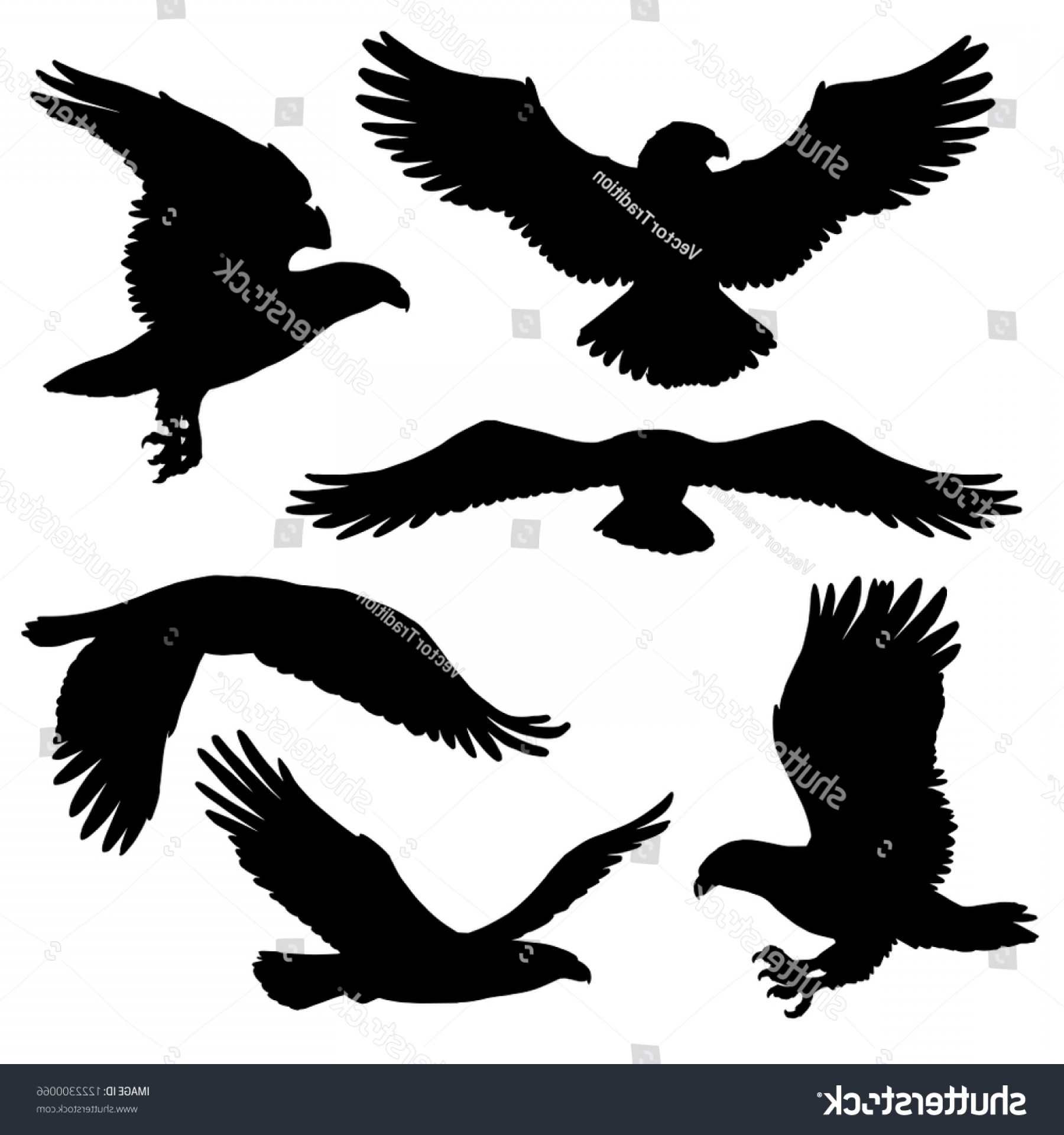 Falcon Vector Catamart 1800x1920 Falcon Vector Catamart