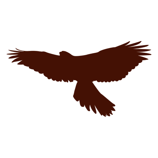 Falcon Bird Silhouette 512x512 Falcon Bird Silhouette
