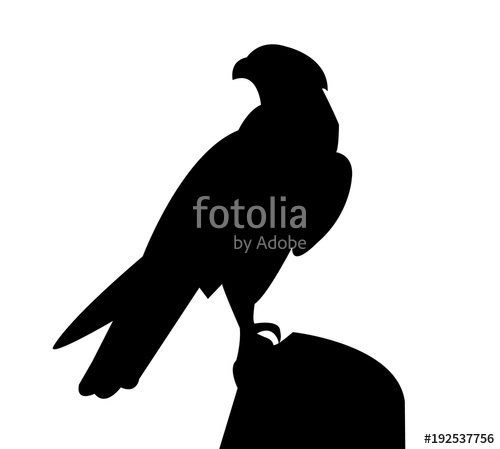 Falcon Standing On A Rock Silhouette Stock Image And Royalty Free 500x449 Falcon Standing On A Rock Silhouette Stock Image And Royalty Free