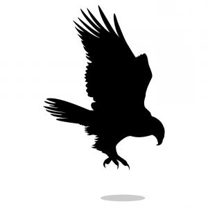 Flying Falcon Silhouettes Vector Clipart Createmepink 300x300 Flying Falcon Silhouettes Vector Clipart Createmepink