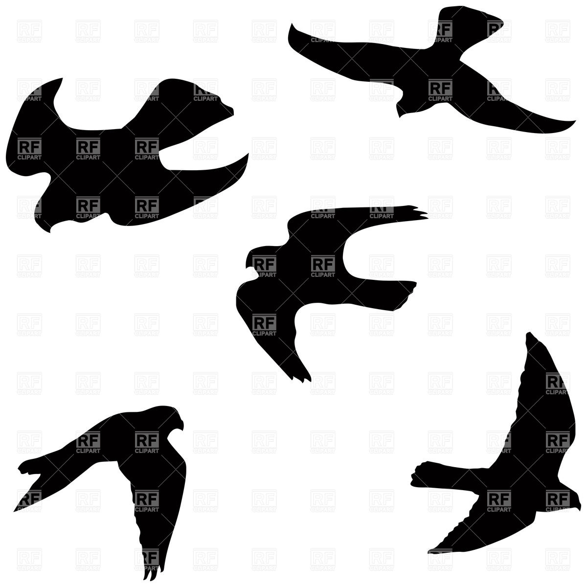Flying Falcon Silhouettes Vector Image Of Plants And Animals 1200x1200 Flying Falcon Silhouettes Vector Image Of Plants And Animals
