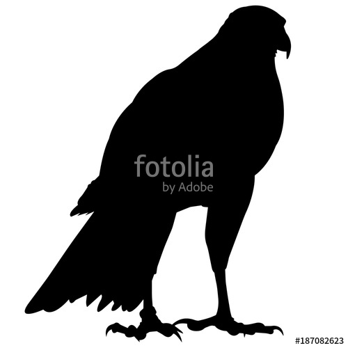 Peregrine Falcon Silhouette Vector Graphics Stock Image 500x500 Peregrine Falcon Silhouette Vector Graphics Stock Image