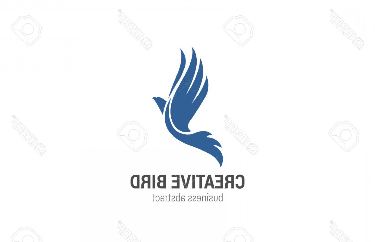 Photostock Vector Flying Bird Logo Abstract Design Vector Template 1560x1008 Photostock Vector Flying Bird Logo Abstract Design Vector Template