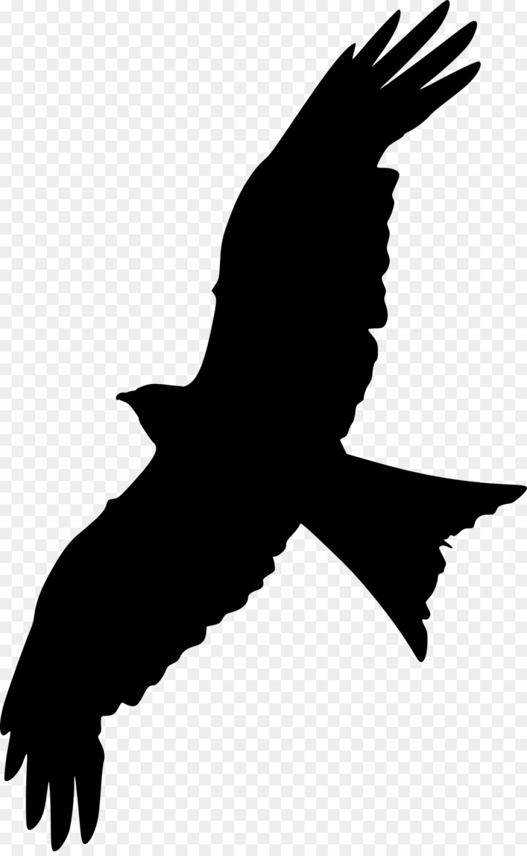 Png Clip Art Silhouette Portable Network Graphics Falc Hoodamathrun 1080x1752 Png Clip Art Silhouette Portable Network Graphics Falc Hoodamathrun