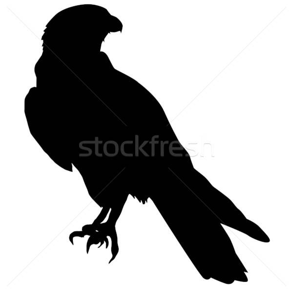 Silhouette Of Falcon Vector Illustration Oleksandr Kovalenko 600x600 Silhouette Of Falcon Vector Illustration Oleksandr Kovalenko