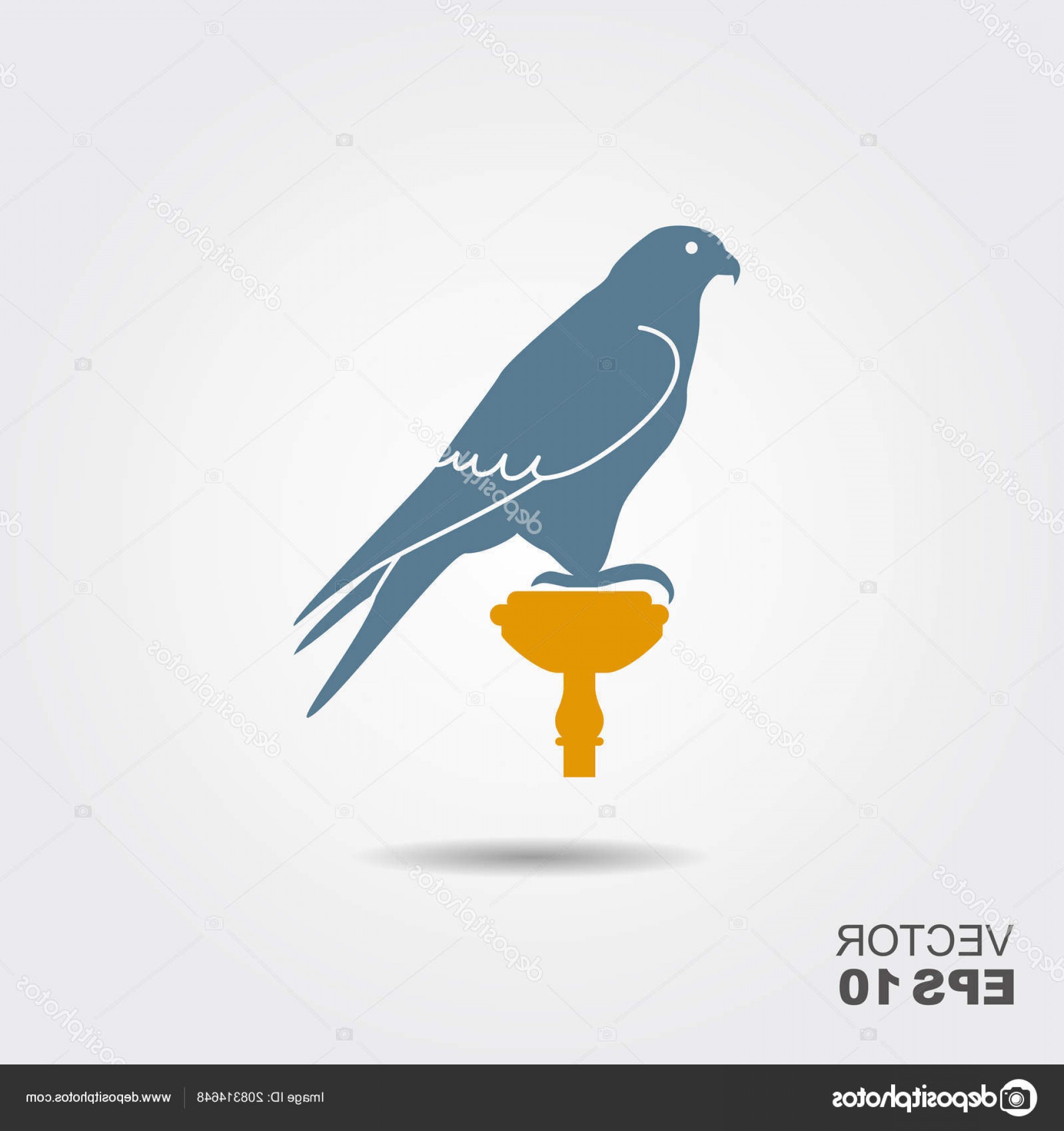 1920x2040 Falcon Vector Catamart