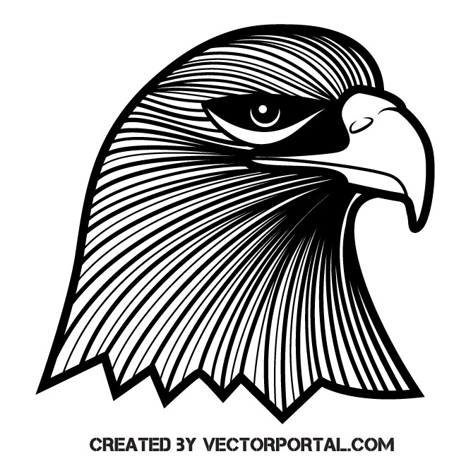 Falcon Vector at Vectorified.com | Collection of Falcon Vector free for