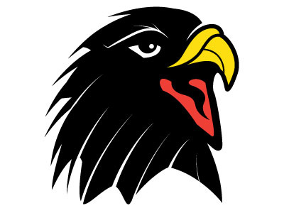 400x300 Falcon Vector Image