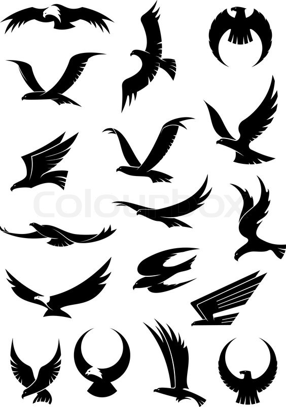564x800 Flying Eagle, Falcon And Hawk Vector Stock Vector Colourbox